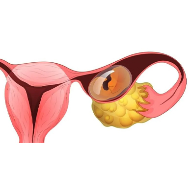 Serivce Image